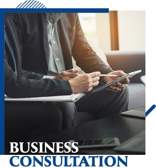 Business Consultation
